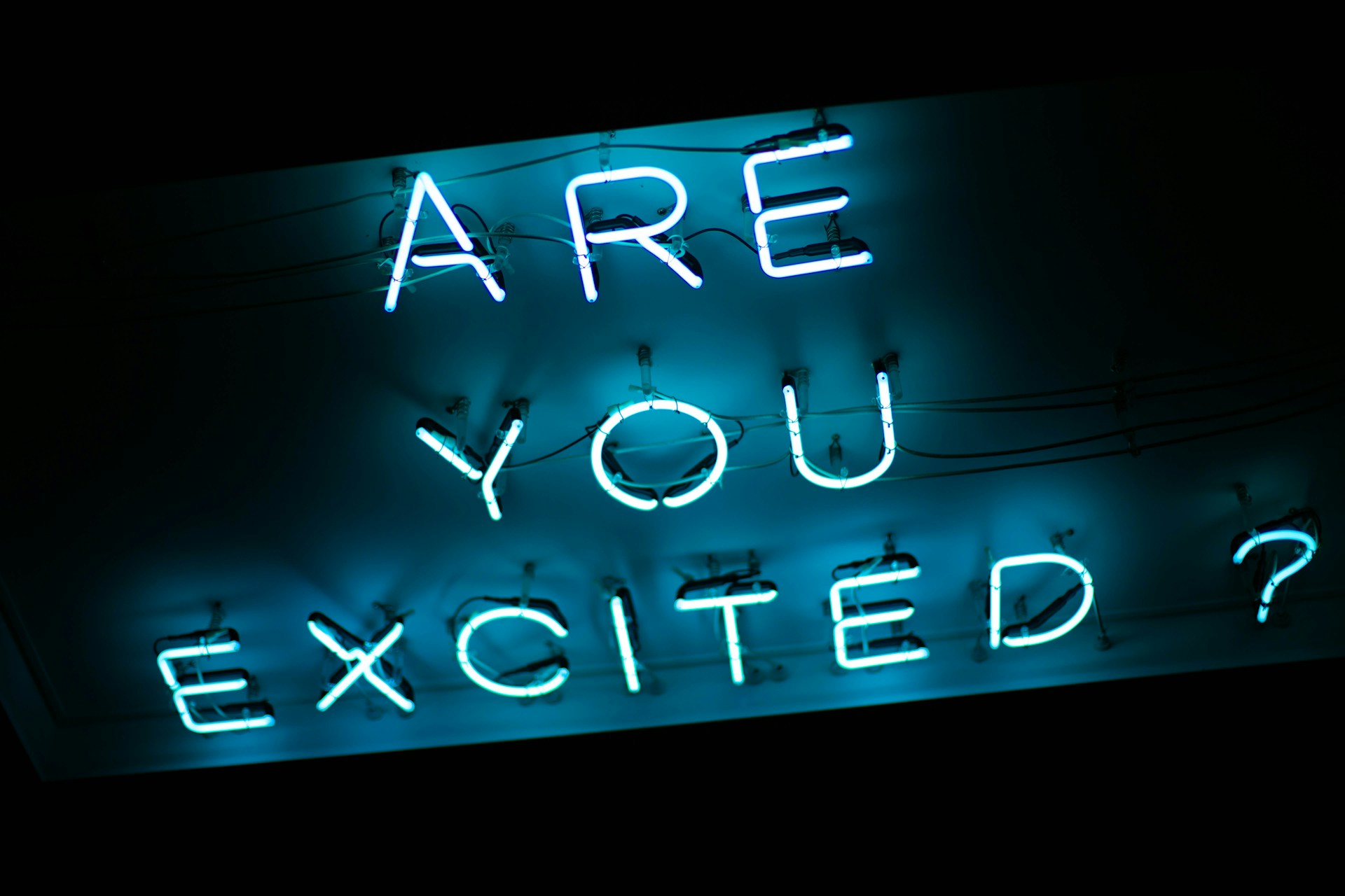 On a dark background the words "Are you excited" glow.